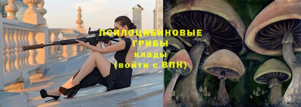 стафф Арсеньев