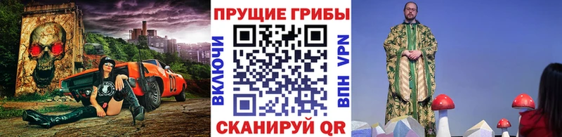 Галлюциногенные грибы Cubensis  ссылка на мегу tor  Сорочинск 